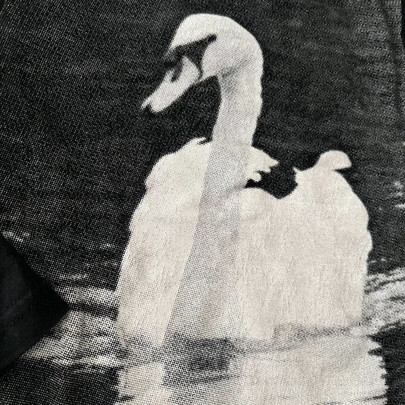 Paper Wings black swan tee sz 5 - Picture 2 of 4